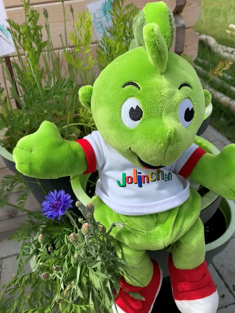 Jolinchen, grünes Kuscheltier sitzt neben Blumen
