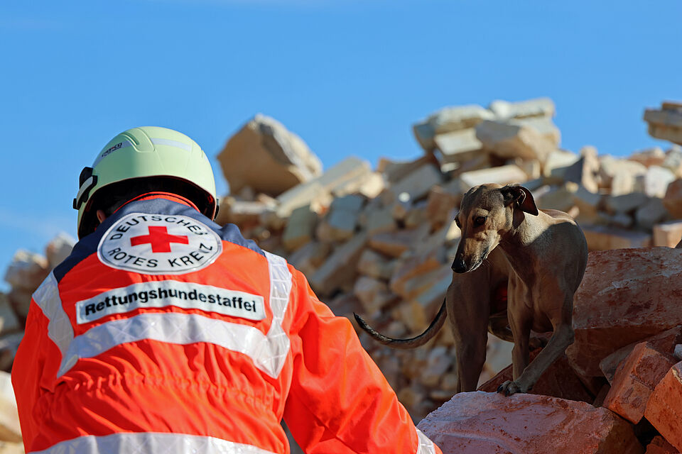 Ehrenamtliche Person in oranger BRK Einsatzjacke, im Hintergrund Rettungshund auf Stein zu sehen